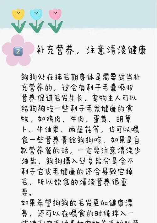 揭秘狗狗毛生长周期的奥秘（狗狗的毛发生长过程及注意事项）