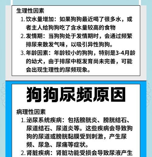 公狗细菌感染少的品种特点及防护措施（选择适合家庭的公狗品种，减少细菌传播风险）