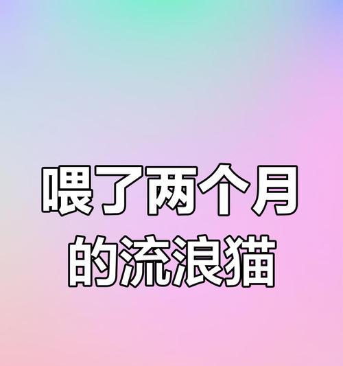 如何正确喂养两个月大的猫（猫咪饮食规律和喂养频率解析）