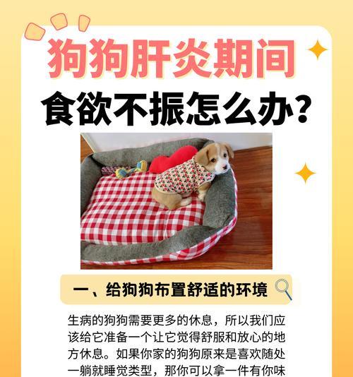 狗狗食欲不振的原因及处理方法（探究狗狗食欲不振的根源以及解决方案）