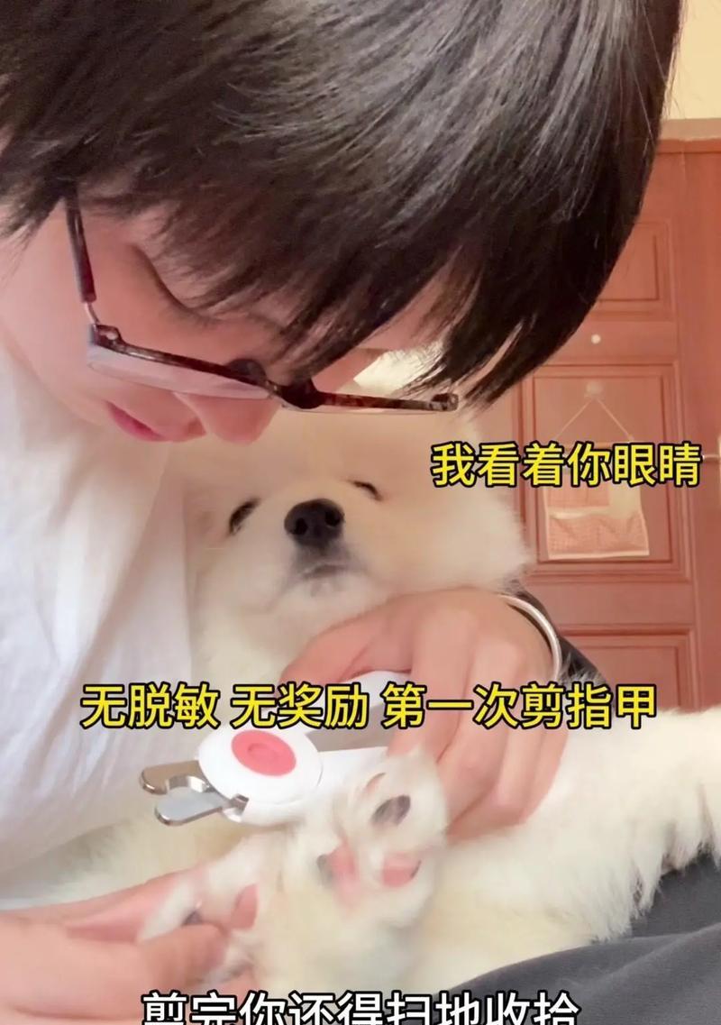 为什么要给狗狗剪指甲？（狗狗指甲修剪的重要性与正确方法）