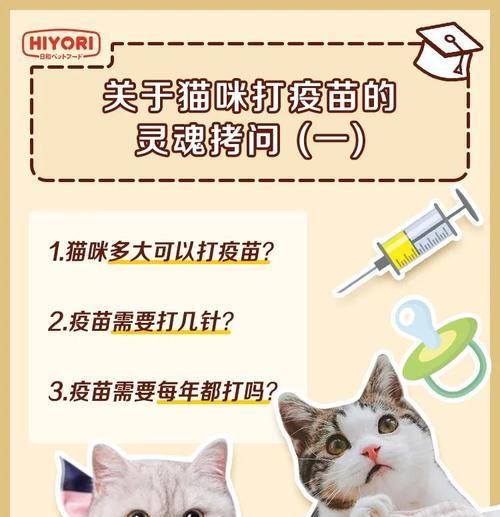 小猫疫苗（疫苗接种时间、作用及关键信息解析）