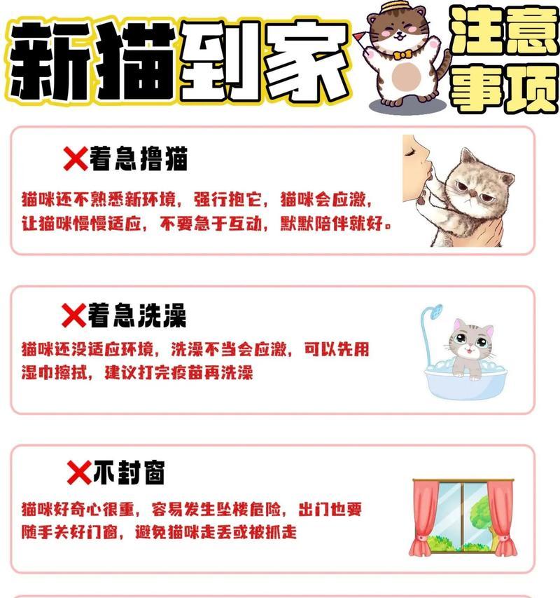 小猫适应新家需要多久？（新家生活的适应期与关键因素）