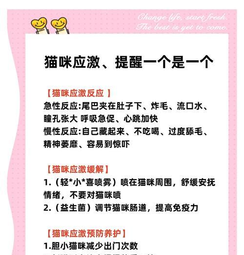 猫咪适合被遛弯吗？（外出活动对猫咪的影响及应对方法）