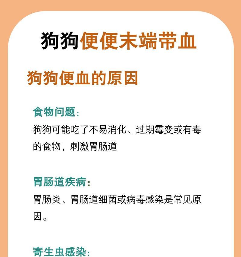 探究狗胃肠炎的症状（了解狗胃肠炎的常见症状及预防措施）