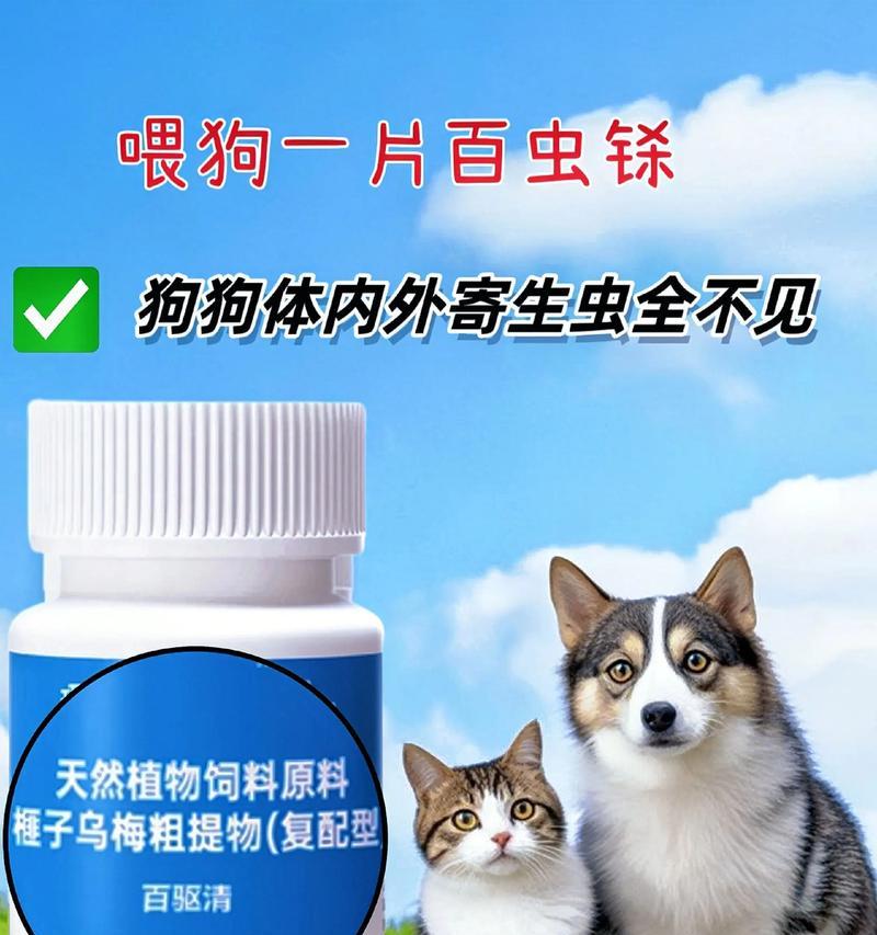 狗狗吃了驱虫药后，多久能排除体内寄生虫？（科学解析狗狗驱虫药的起效时间与排虫周期）