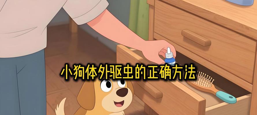 宠物狗驱虫的重要性及驱虫频率（了解宠物狗体内外驱虫周期，保护它们的健康）