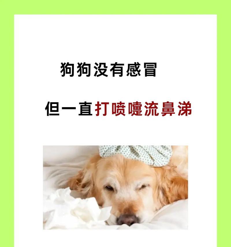 犬瘟热（了解犬瘟热的症状、传播途径及预防措施）