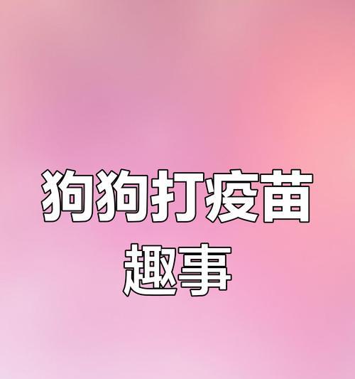 狗狗打针时间表及注意事项（宠物主人必读）
