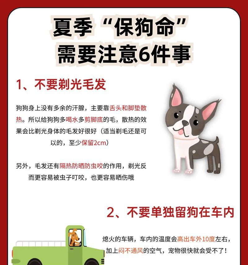 狗狗快要生产了，你需要准备些什么？（提前为狗狗的生产做好准备，让它顺利迎接新生命）