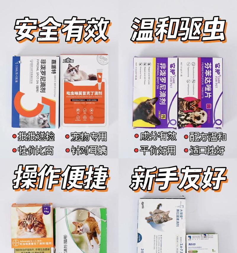 家猫驱虫的时间间隔及注意事项（宠物猫驱虫周期与关键因素分析，保障健康生活）