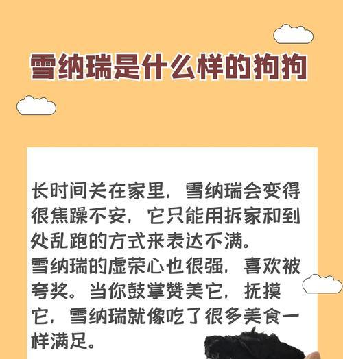 冬天雪纳瑞洗澡的最佳频率（保持雪纳瑞健康舒适的关键）