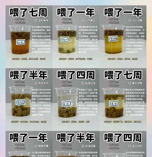 幼犬狗粮泡水时间的重要性（科学喂养幼犬狗粮的关键一步）