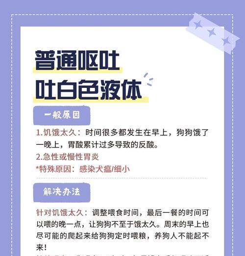 缓解狗狗呕吐的方法（调理宠物犬的胃肠道健康）