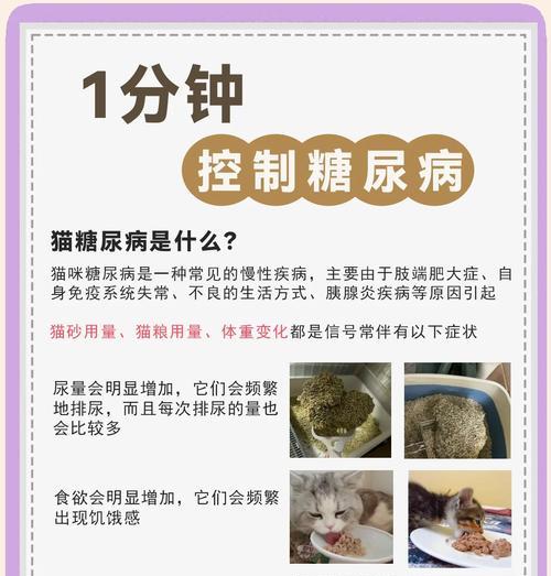 猫的糖尿病（探寻猫糖尿病对生命的影响及预防关键）