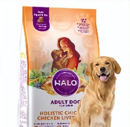 金毛犬两个月的饮食养护指南（打造健康成长的金毛宝宝，从饮食开始）