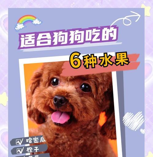 幼犬饮食注意事项——哪些水果不能吃？（幼犬饮食指南，避免给它们吃错水果！）