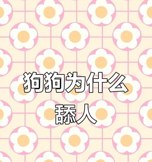 狗狗频繁舔尿道口的原因及应对方法（宠主别不懂，这可能是一种疾病信号！）