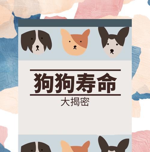 宠物狗的寿命（探索狗狗寿命的关键因素及如何延长狗狗的寿命）