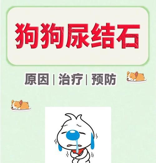 如何让狗狗泌尿结石离开体内（两种有效方法帮助狗狗排出泌尿结石）