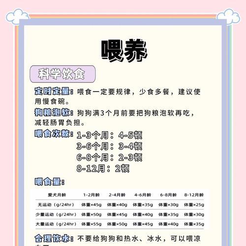 边牧食量的因素及喂养注意事项（了解边牧食量的影响因素，合理喂养你的边牧犬）
