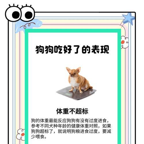 小狗吃得过快致命，需引起重视（小狗吃饭过快可能导致的健康问题及其症状）