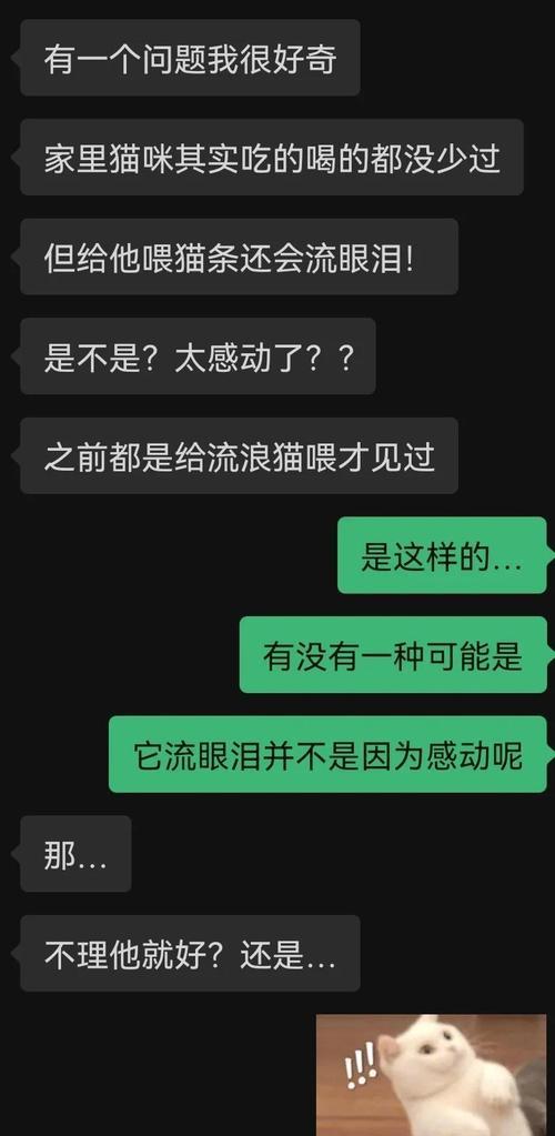 喵星人流泪，疾病的前兆？（探究6种可能引起猫咪流泪的原因）