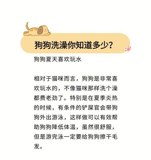 狗狗生产后何时能洗澡？（清洁和保健的最佳时间）