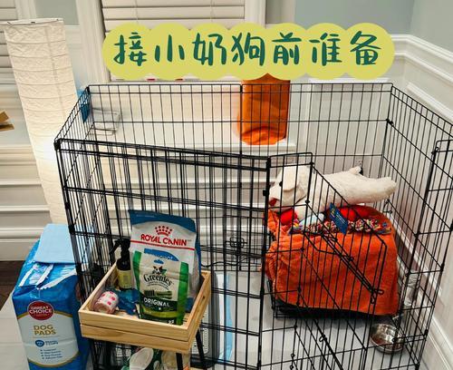 狗笼的正确使用方法（为了宠物的福利，养狗要避免笼养）