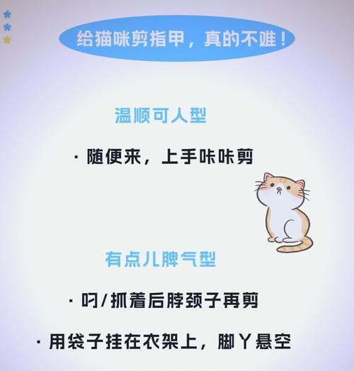 猫咪的指甲修剪，应当多久进行一次？（探究猫咪指甲修剪的最佳时间间隔及方法）
