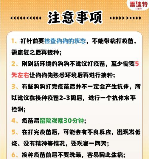狗狗打疫苗不良反应持续多久？（了解疫苗不良反应的持续时间，保护您的爱犬健康。）