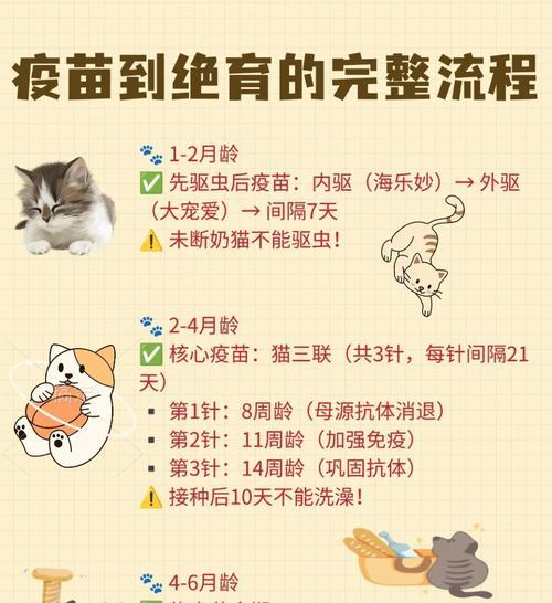 猫绝育后多久驱虫？（为保护猫咪健康，驱虫时机需掌握。）