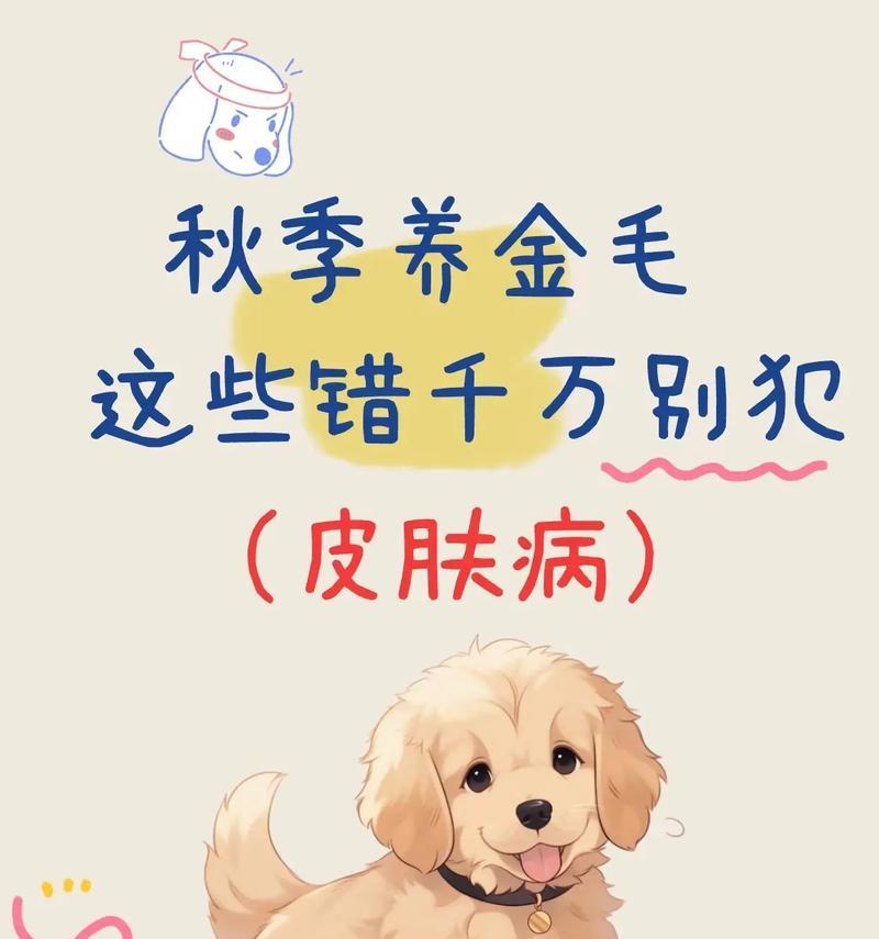秋季养狗千万不要“忽略”这5件事（保护狗狗健康，让秋天更美好）