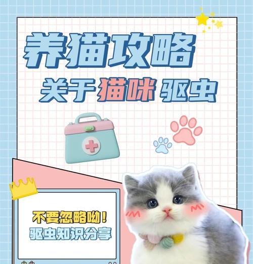 猫咪的排便频率是多久一次？（了解猫咪的正常排便习惯，关注它的健康）