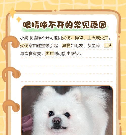 小狗睁眼所需时间究竟有多久？（探究小狗睁眼的发育过程及关键因素）