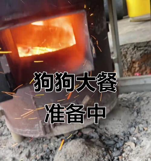小狗出生后多久开始加餐？（了解小狗成长阶段与饮食需求，科学给予小狗加餐）