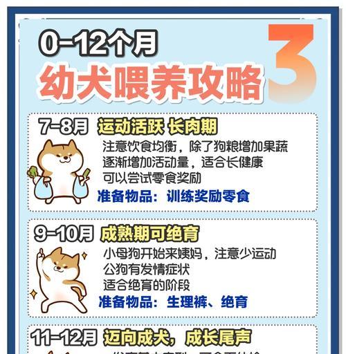 十几天的小狗喂奶知多久？（小狗喂奶时间表及关键因素）