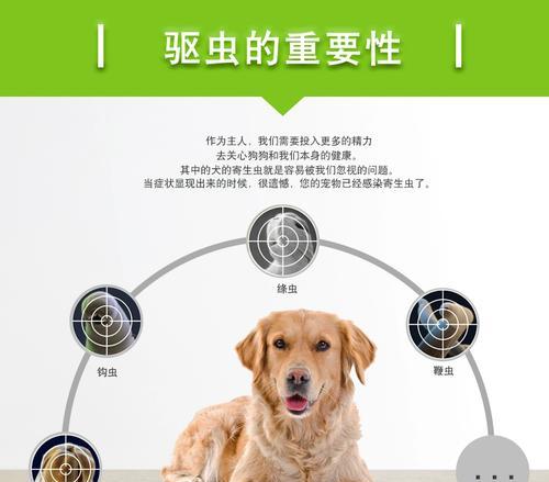 幼犬驱虫药的使用频率及注意事项（宠物养护）