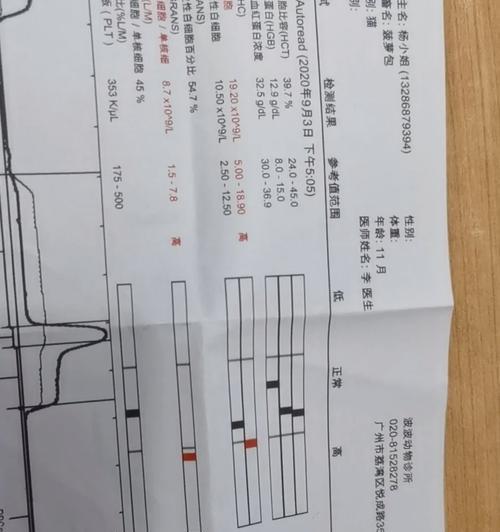 猫儿麻药后的康复时间与护理（了解猫儿麻药恢复所需时间的关键要素和方法）
