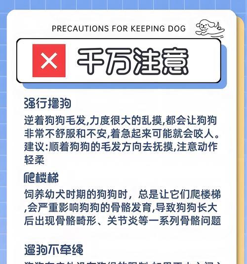 照顾狗狗的八大忌，别再拿狗狗的健康开玩笑！（学会正确养护你的狗狗，）