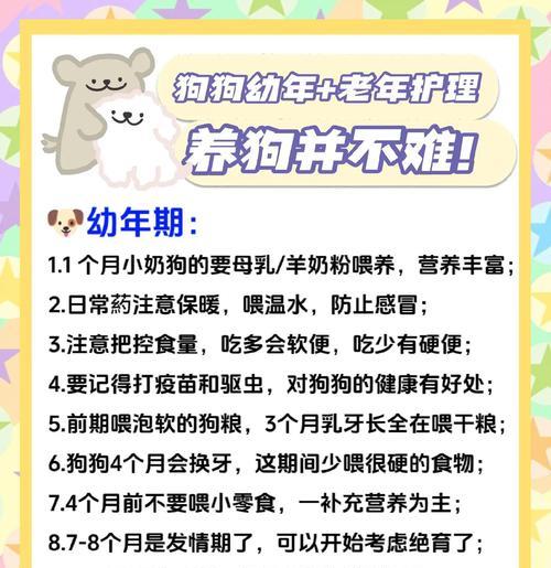 小狗的溜走时间表（了解小狗的需求和适应性，合理安排外出时间）