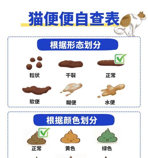 猫咪的排便频率及健康指导（揭秘猫咪排便时间规律，解读常见排便问题）