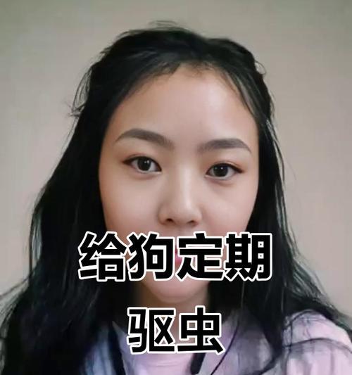 四个月的狗狗驱虫频率分析（了解狗狗驱虫的最佳时机和方法）
