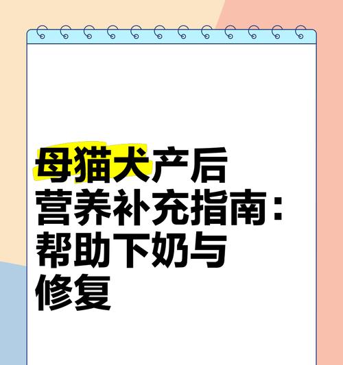 母猫的结扎时间与注意事项（了解母猫结扎的最佳时机及相关信息）