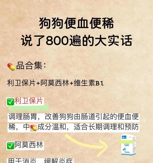 狗狗便稀的原因及应对方法（探究狗狗便稀的成因，提供有效的处理方法）