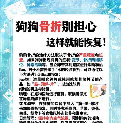 当你的狗被鸡骨头噎住时，该如何应对？（了解紧急情况的关键步骤，保护你的宠物不受伤害）