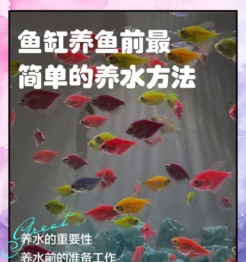 三招让鱼缸水变黄的妙法（不用换水，轻松打造古风鱼缸水景）
