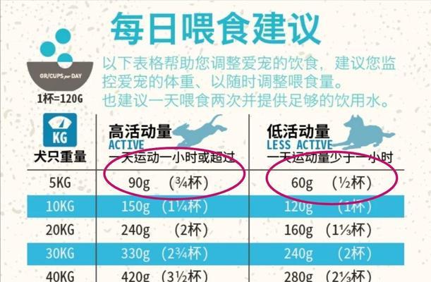 狗狗饮食指南（了解合理的狗狗喂食分量，宠物健康由我来守护）