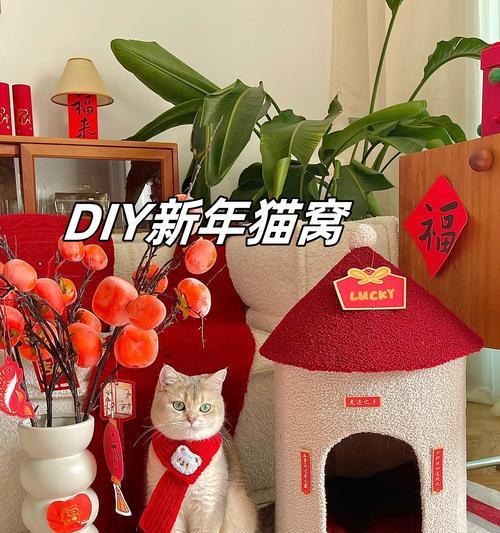 小猫离开巢穴的时刻（探索世界的关键一步）