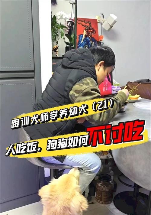 幼犬的合理喂养方式（不同阶段幼犬的饮食需求分析）